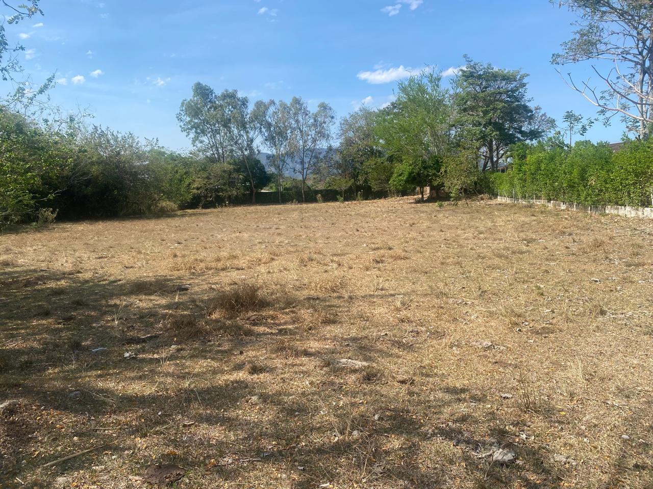 properties